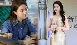 娱乐圈最新爆料刘亦菲一番,娱乐圈再掀波澜